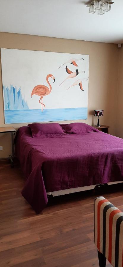 Shotel Calafate Exterior photo